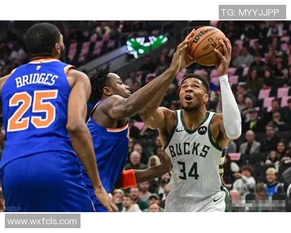 字母哥赞特纳表现出色期待更多雄鹿球员展现实力